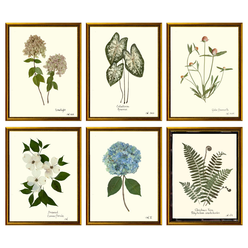 Pressed Botanical Set by Sandy Whitaker, 35" H x 39.75" W, Gold Bead 2