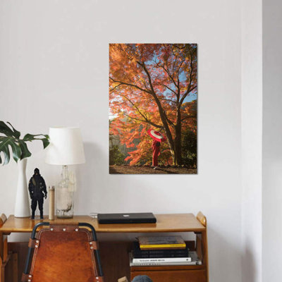 " Autumn In Japan VI "