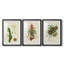 Elegant Tropicals III - Impression sur mesure encadrée de qualité supérieure - 3 pièces