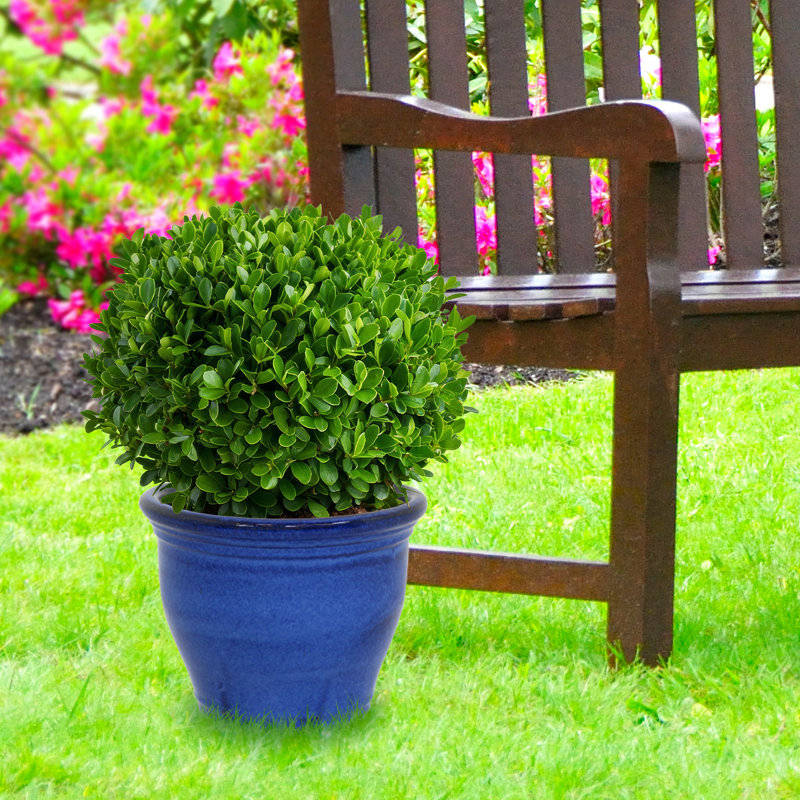 Berlina Round Imperial Ceramic Outdoor Planter - Blue - 15", Blue, 12.5" H x 15" W x 15" D