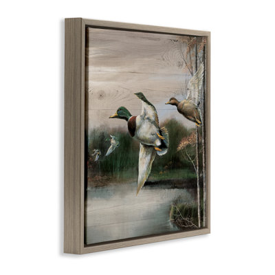Flying Ducks dans un cadre flottant de nature rustique, design par Ruane Manning