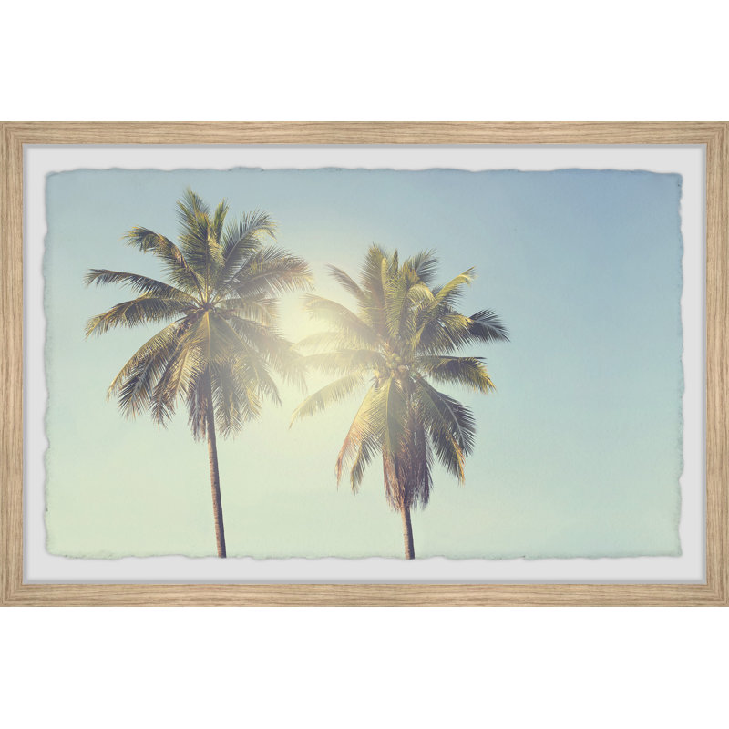 Palm Tree Sunshine - Single Picture Frame Print, 20cm H x 30cm W x 3.81cm D