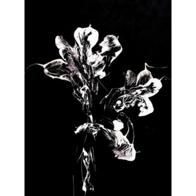 1 Piece Wrapped Canvas Wall Art