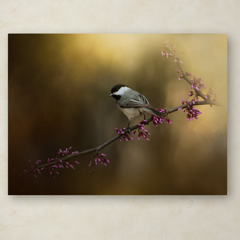 Vidur «Chickadee in the Golden Light», impression sur toile tendue, H 24 po x l 32 po