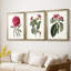 Roseat Blooms IV - reproduction encadrée sur mesure de qualité supérieure mate - 3 pièces-913181146-913181145