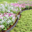 5 cm H Plastic Lawn Edging Fencing-125152825-125152831