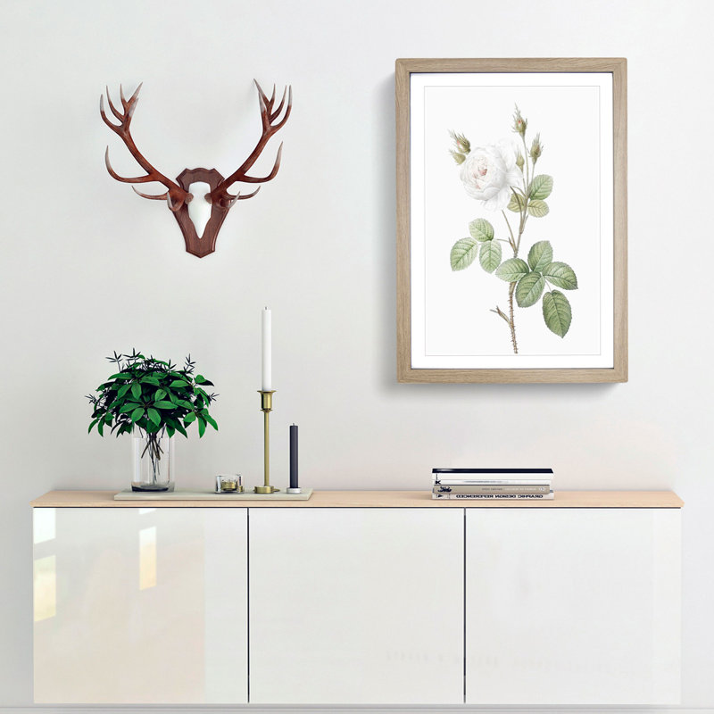 White Moss Rose by Pierre-Joseph Redoute - Picture Frame Art Prints, 36cm H x 27cm W x 2cm D, Oak Framed