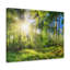 No Frame Print on Canvas-352178911