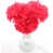 Fuschia
