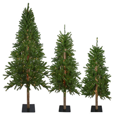 Set of 3 Pre-Lit Slim Alpine Artificial Christmas Trees 6' - Clear Lights
