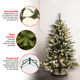 The Holiday Aisle® Dunhill Fir Tree with Clear Lights