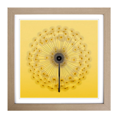 Dandelion Bauhaus - Framed Print