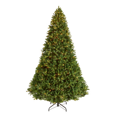 Downswept Douglas Fir Tree with Lights
