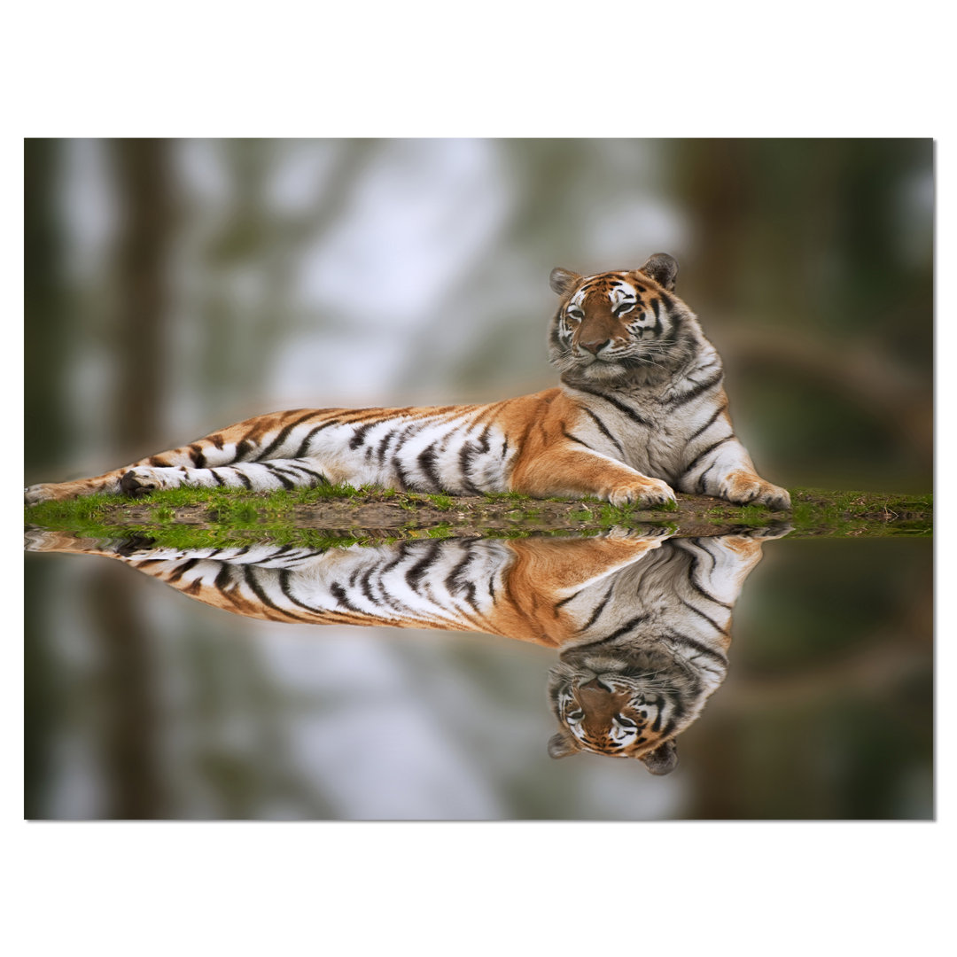 " Tiger Reflecting In Water Animal " by Designart 2 - Pieces Design Art