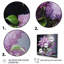 Lilas, impression romantique II - impression-1003725888-1003725909
