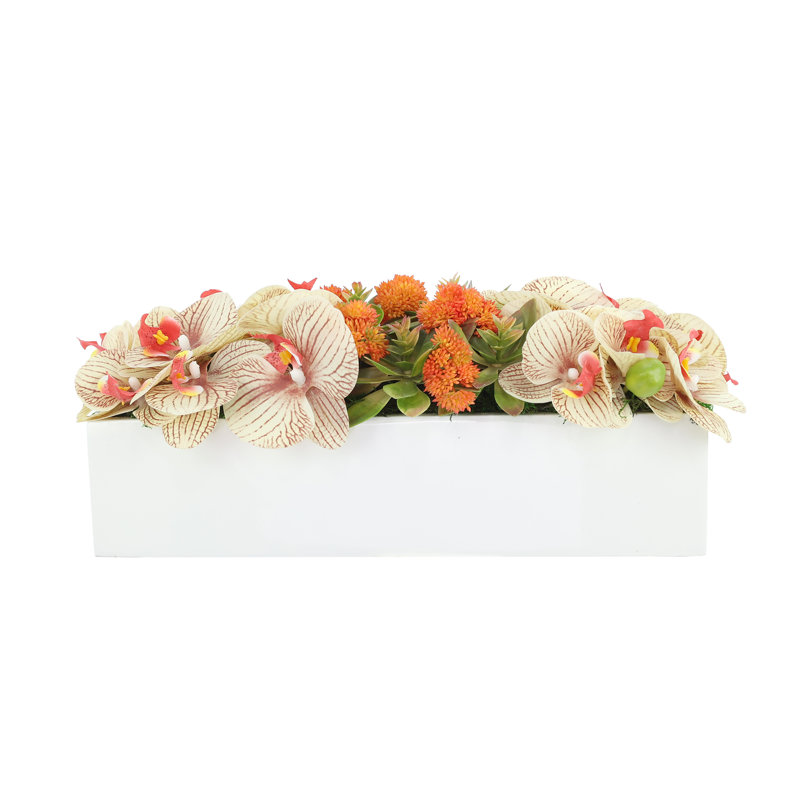Orchidée et Sedum disposés en pot de fibres, 7.5" H x 18.5" W x 9" D, Orange