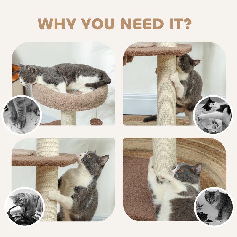 223.52cm H Cat Tree