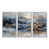 Silver Floater Framed Canvas