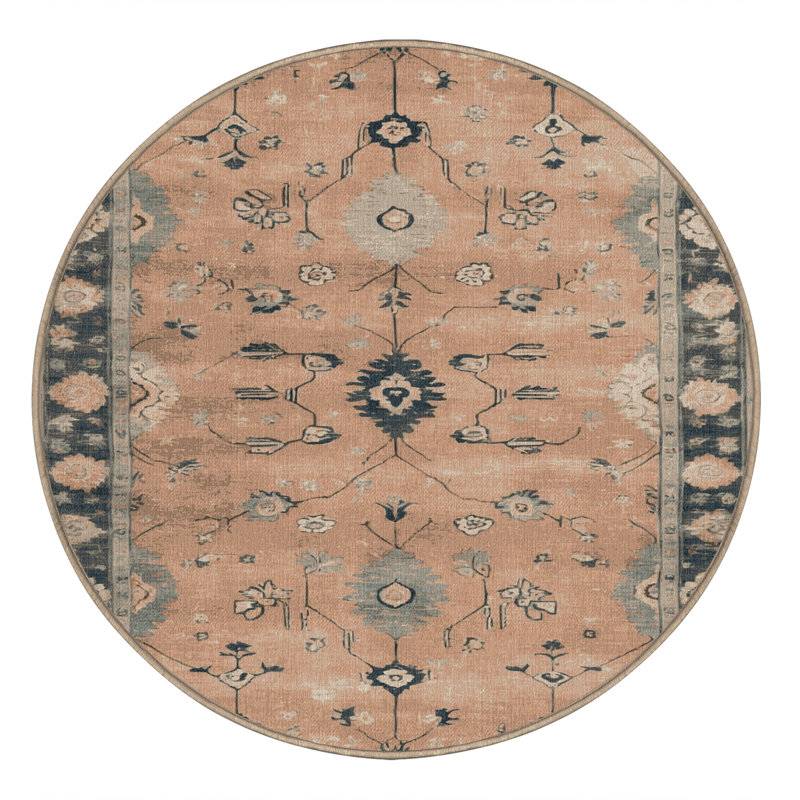 Machine Washable Overdyed Brown Area Rug