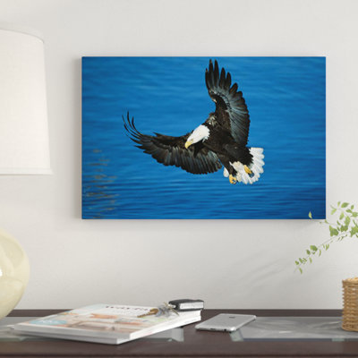 " Bald Eagle Flying Over Water, Kenai Peninsula, Alaska " by Tom Vezo