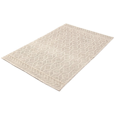 Haggi Performance Hand Braided Wool Rug