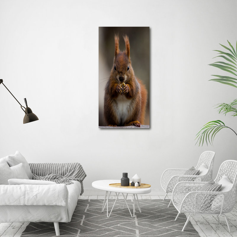 Squirrel - Wrapped Canvas Print