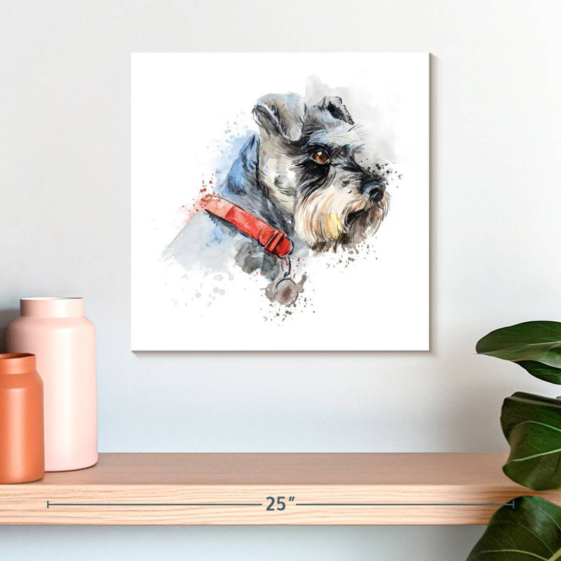 Crowle Schnauzer Splash, H 16 po x l 16 po
