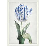 Spring Tulip 2' Framed Graphic Art Print on Glass