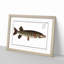 Pike Fish by M.E. Bloch - Picture Frame Painting Print on MDF-55583627-55583626