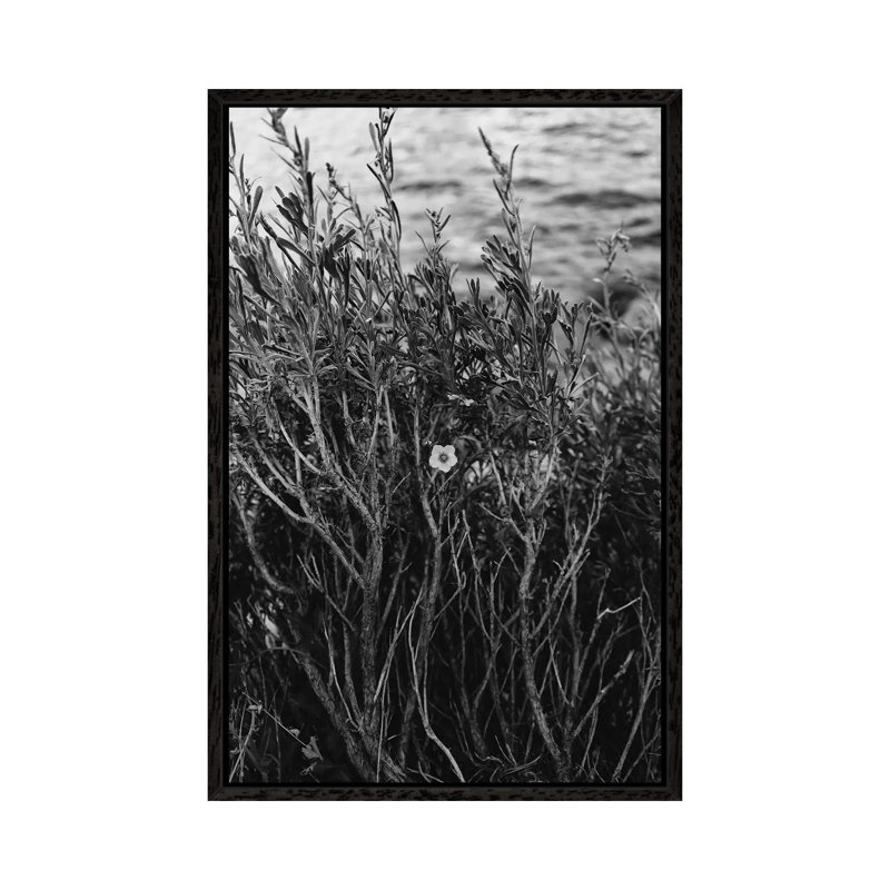 Tenaya Lake, Yosemite National Park II by Bethany Young - Print on Canvas, 101.6cm H x 66.04cm W x 3.81cm D, Black Framed