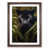 Walnut Framed selected