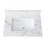 30,17 po Le comptoir de meuble-lavabo X 21,52 po - en pierre frittée, avec lavabo rectangulaire en céramique, ajoute une touche de luxe au lavabo blanc en pierre 31 po x 22 po-1572032172