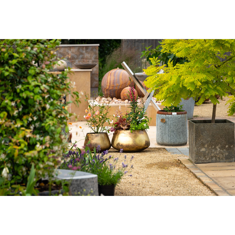 Pelaez Metal Pot Planter, 32cm H x 54cm W x 54cm D