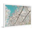 Judy Stalus - Single Picture Frame Print-20708662