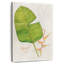 Botanical Journal II-1924137692