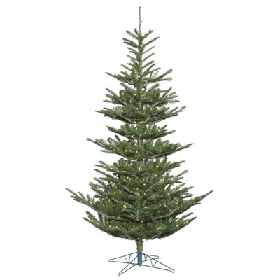 10' Lighted Spruce Christmas Tree