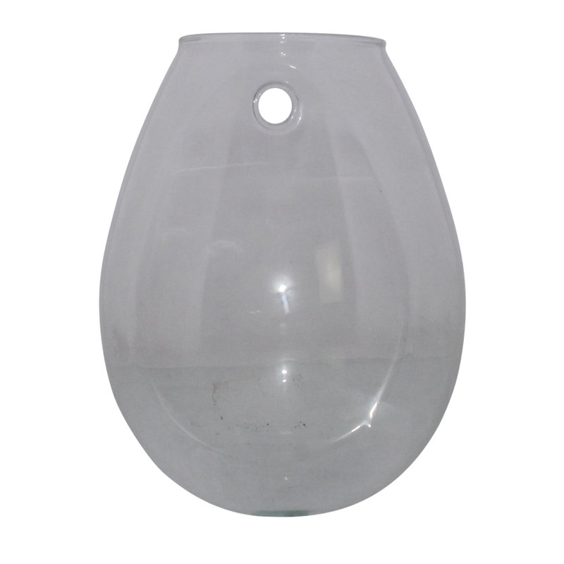 Terrarium en verre Jsoeph, H 6 po x l 4 po x P 5 po