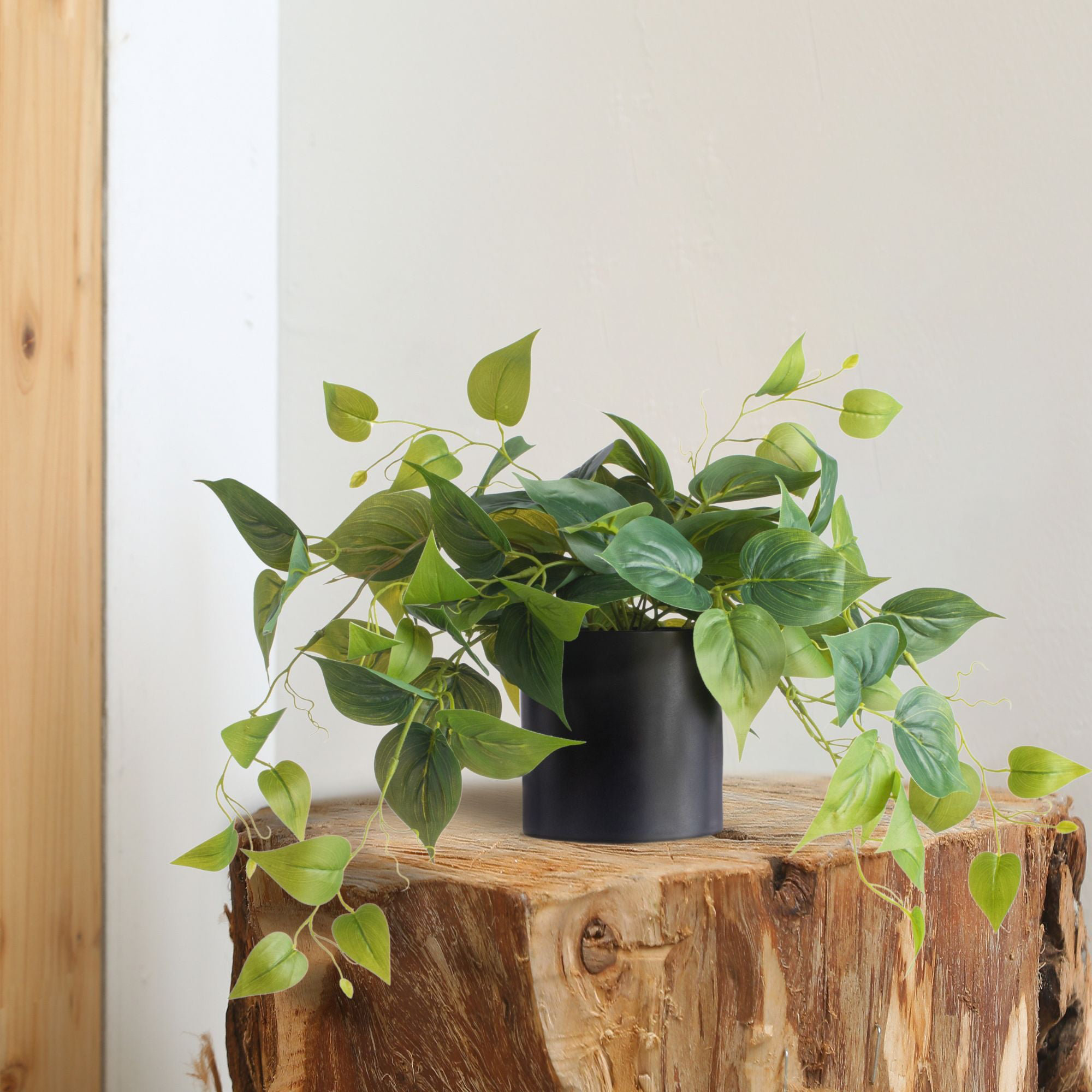 Faux Foliage Plant in Ceramic Pot, Black, 1