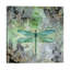 Dragonfly V by Stephanie Law - Wrapped Canvas Giclee Art Print-49966960
