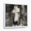 Farmhouse Horse II - reproduction d'art sur toile-51145419-51145427