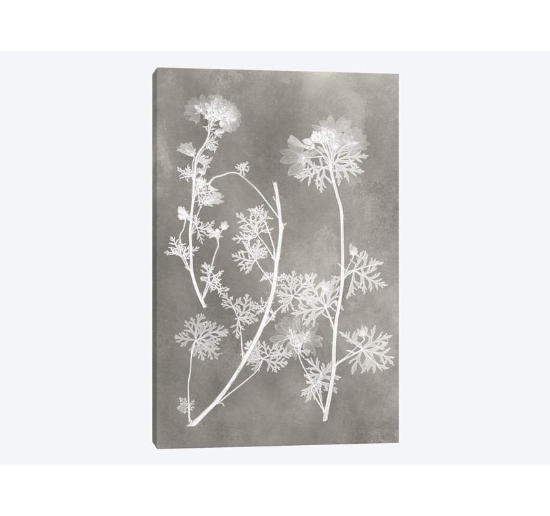 «Herbarium Study IV» par Vision Studio - Estampe numérique sur toile tendue avec châssis, H 26 po x l 18 po x P 1,5 po