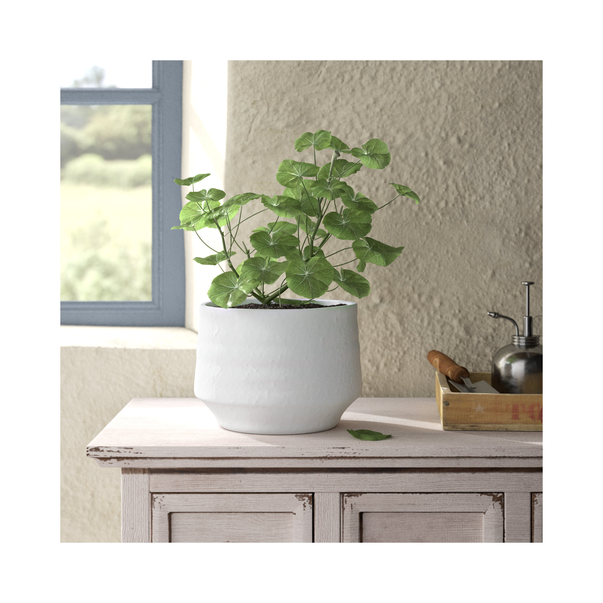 Canella Handmade Concrete Pot Planter, 6" H x 7.5" W x 7.5" D