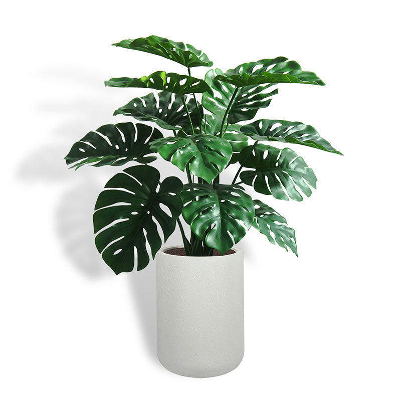 TREE MONSTERA POT 4FT