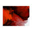 Goree Abstract-90671008