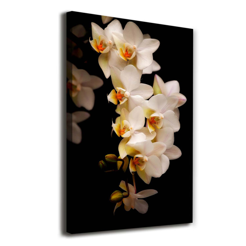 Orchid - Wrapped Canvas Print