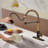 Bolden CASAINC 1.8 GPM Spring Neck Pull Down Kitchen Faucet with Deck Plate-93965526