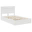 Bed-1718771493-1718771515