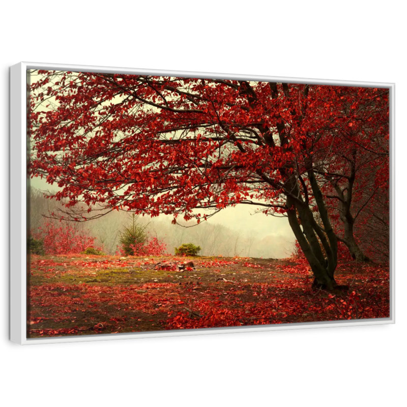 Arbre rouge en automne, Cadre flottant blanc, 19 po x 13 po