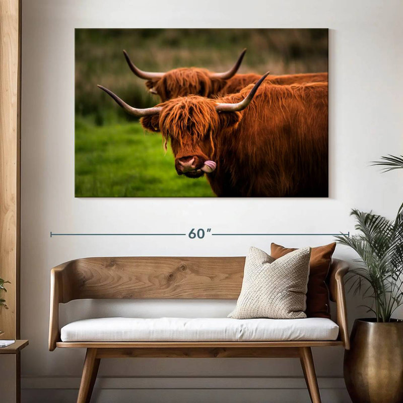 Fluffy Highland Cows, H 34 po x l 51 po