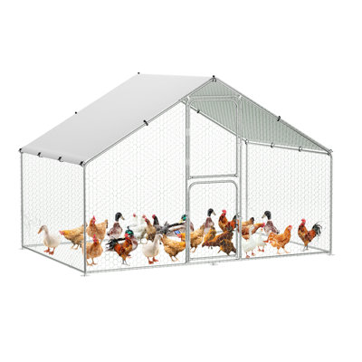 Chicken Run